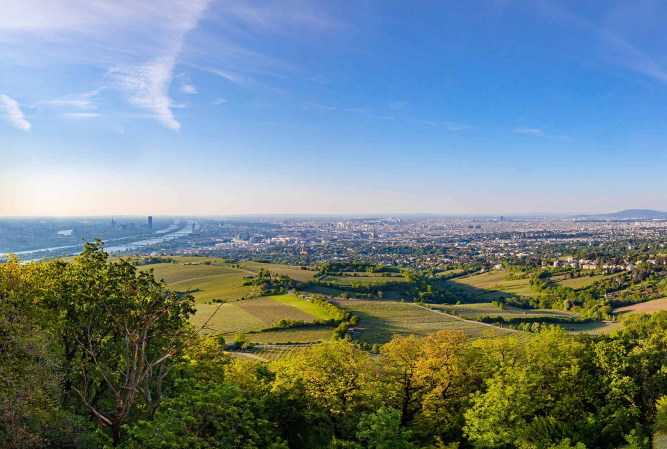 Blick auf Wien über grüne Landschaft am Stadtrand.
