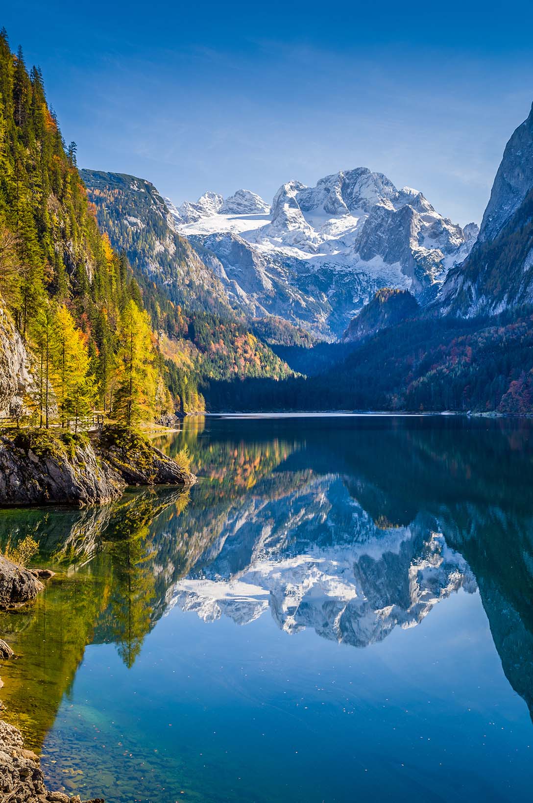 Schöner Blick auf idyllische bunte Herbstlandschaft mit Dachsteingipfel, der sich im kristallklaren Gosausee spiegelt, Salzkammergut, Oberösterreich, Österreich
